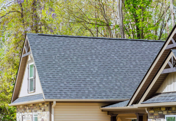 Roof Moss and Algae Removal in West End, NY